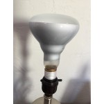 Lavex 250 Watt Infrared Heat Lamp Light Bulb