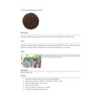 Davidson's Organic Mountain Copper Oolong Loose Leaf Tea 1 lb.