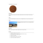 Davidson's Organic Spiced Rooibos Chai Herbal Loose Leaf Tea 1 lb.