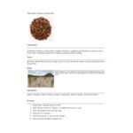 Davidson's Organic Berry Essence Herbal Loose Leaf Tea 1 lb.