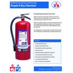 Badger Extra 23495 20 lb. Potassium Bicarbonate Purple K Dry Chemical Fire Extinguisher with Wall Hook - UL Rating 120-B:C