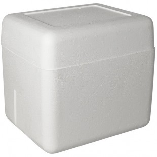 Insulated Foam Cooler 13 1/4