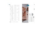 WMF Unic Copper from BauscherHepp 8 1/2