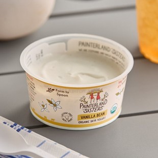 Painterland Sisters Vanilla Bean Organic Skyr Yogurt Cup 5.3 oz. - 8/Pack Painterland Sisters Vanilla Bean Organic Skyr Yogurt Cup 5.3 oz. - 8/Pack