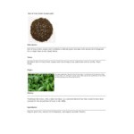 Davidson's Organic Earl of Grey Green Loose Leaf Tea 1 lb.