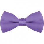 Henry Segal Purple 2 Henry Segal Purple 2