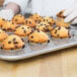 Chicago Metallic 45245 24 Cup 2.1 oz. Glazed Aluminized Steel Mini Muffin Pan - 12 7/8