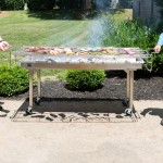 Backyard Pro CHAR-60SS 60