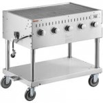 Backyard Pro CHAR-60SS 60