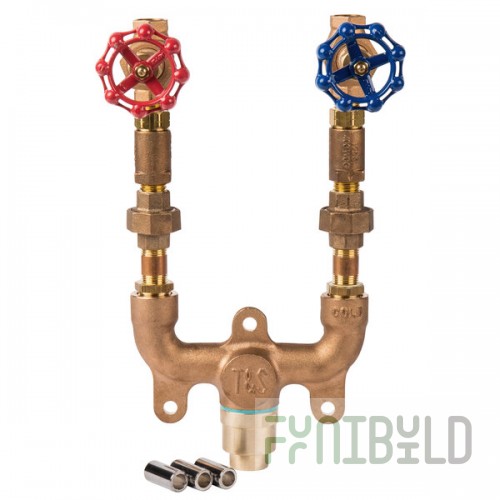 T&S Brass MV-0771-11N Wall Mounted 1/2