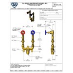 T&S Brass MV-0771-11N Wall Mounted 1/2