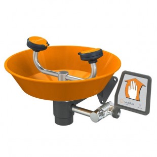 Guardian Equipment G1750P Wall Mounted Eye and Face Wash Station with ABS Plastic Bowl