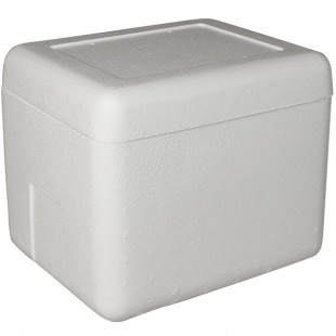 Insulated Foam Cooler 13 1/4