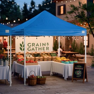 Galaxy Equipment 10' x 10' Blue Straight Leg Light-Duty Steel Instant Pop-Up Canopy Tent