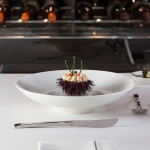 RAK Porcelain Fine Dine 11 7/16 RAK Porcelain Fine Dine 11 7/16
