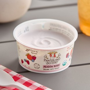 Painterland Sisters Meadow Berry Organic Skyr Yogurt Cup 5.3 oz. - 8/Pack Painterland Sisters Meadow Berry Organic Skyr Yogurt Cup 5.3 oz. - 8/Pack