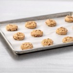 Rich's Jacqueline 1.5 oz. Vegan Oatmeal Raisin Cookie Dough - 210/Case
