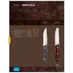 Amefa 491715B000621 Hercule 9 11/16