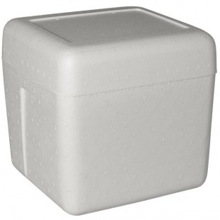 Insulated Foam Cooler 12