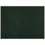 H. Risch, Inc. PLACEMATDXOCT-HARGREEN Harley 16