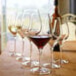 Stolzle Exquisit Royal from Global Tableware Collective 9 oz. Flute Glass - 6/Pack