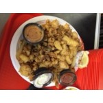 EcoChoice 10 EcoChoice 10