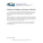 Vestil FHS-4-10 10' x 10' Fixed Height Steel Gantry Crane with Casters - 4,000 lb. Capacity