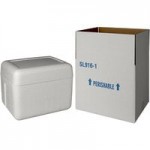 Insulated Foam Cooler 12 1/8 Insulated Foam Cooler 12 1/8