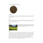 Davidson's Organic Jasmine Almond with Orange Loose Leaf Tea 1 lb.