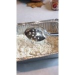 Vollrath 46962 11