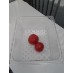 Cambro 13CLRCW135 Camwear® Full Size Clear Polycarbonate Colander Pan - 3 Cambro 13CLRCW135 Camwear® Full Size Clear Polycarbonate Colander Pan - 3
