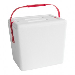 Lifoam Small Foam Cooler with Handle 11 3/4