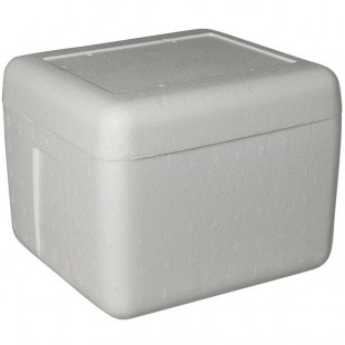 Insulated Foam Cooler 12 1/8