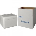 Insulated Foam Cooler 12 1/8 Insulated Foam Cooler 12 1/8