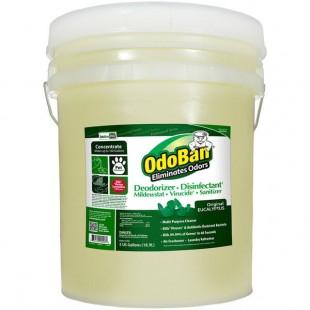 OdoBan 911062-5G 5 Gallon Concentrated Eucalyptus Disinfectant / Air Freshener OdoBan 911062-5G 5 Gallon Concentrated Eucalyptus Disinfectant / Air Freshener