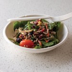 Eco-Products Vanguard 12 oz. Compostable Sugarcane Coupe Bowl - 800/Case