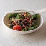 Eco-Products Vanguard 12 oz. Compostable Sugarcane Coupe Bowl - 800/Case