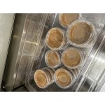 Choice PET Plastic Lid for 3.25 to 5.5 oz. Souffle Cup / Portion Cup - 100/Pack