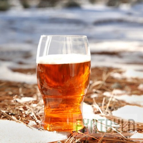 Tossware POP 18 oz. Customizable Plastic Pint Glass - 48/Case