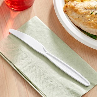 Choice White Extra Heavy Weight Polystyrene Plastic Knife - 1,000/Case
