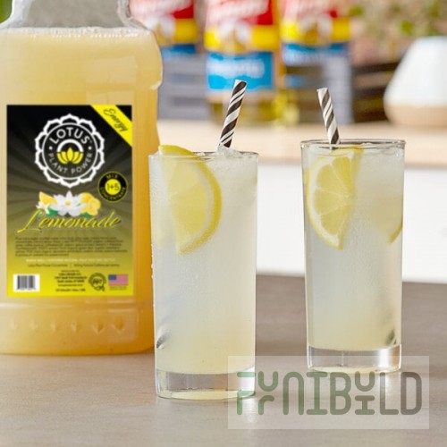 Lotus Plant Energy Lemonade Energy 5:1 Concentrate 64 fl. oz. - 6/Case