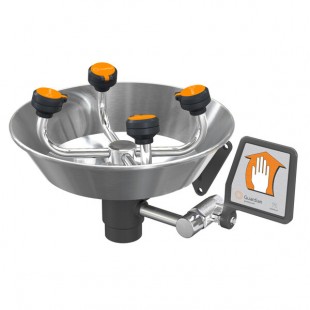 Guardian Equipment G1724 WideArea Wall Mounted Eye and Face Wash Station with Stainless Steel Bowl