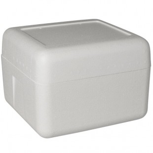 Insulated Foam Cooler 12 1/8