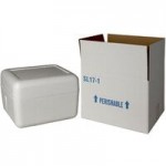 Insulated Foam Cooler 12 1/8