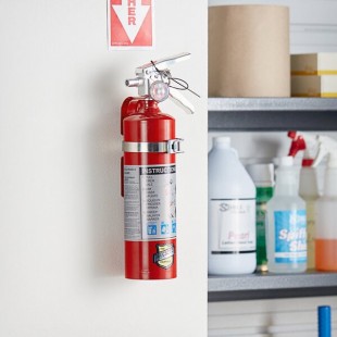 Buckeye 2.5 lb. ABC Dry Chemical Fire Extinguisher - Rechargeable Untagged with Vehicle Bracket - UL Rating 1-A:10-B:C