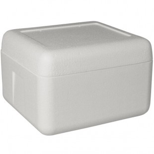 Insulated Foam Cooler 12 1/8