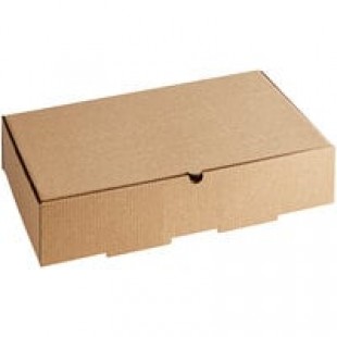Sabert 9632 23 1/2 x 13 1/4 Sabert 9632 23 1/2 x 13 1/4