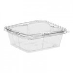 Inline Plastics 2-Compartment Tray Insert for Safe-T-Fresh 20, 24, 30, and 32 oz. Rectangular Hinged Containers - 360/Case