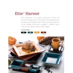 International Tableware Elite 9 1/8