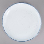 10 Strawberry Street ARCTIC-8CP Arctic Blue 8